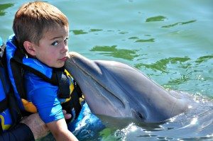 Dolphin Discovery Timmy and dolphin