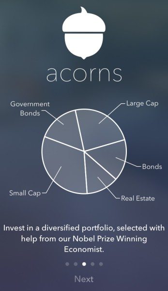 Acorns investment asset classes