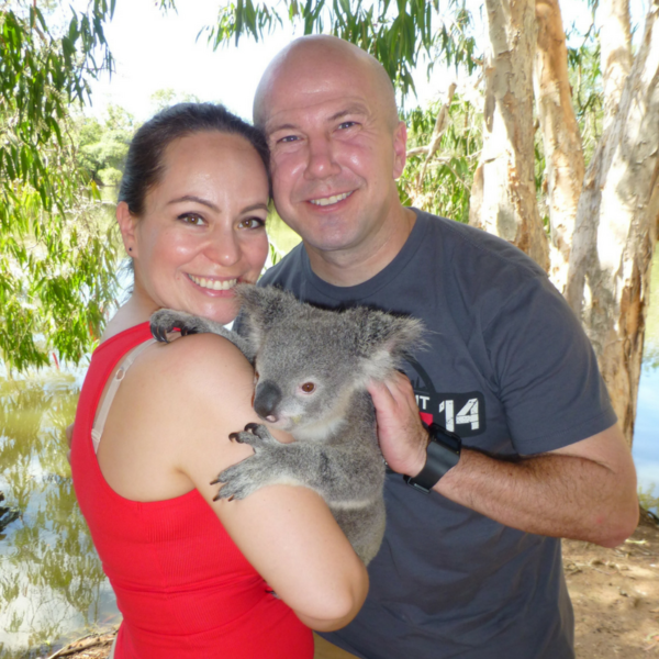Australia discounted flights trick with koala at Billabong in 2014