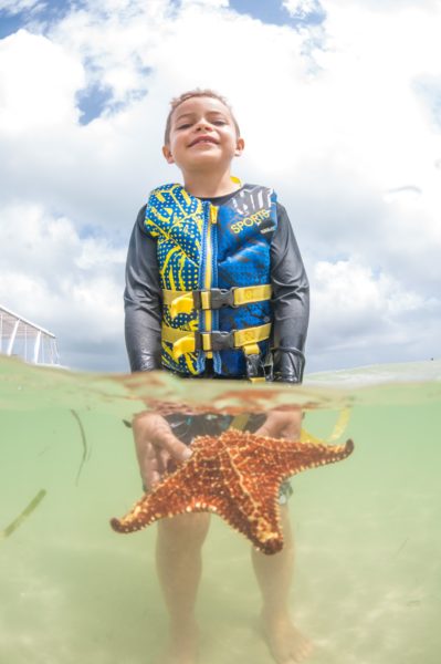 Grand Cayman Starfish Beach Timmy