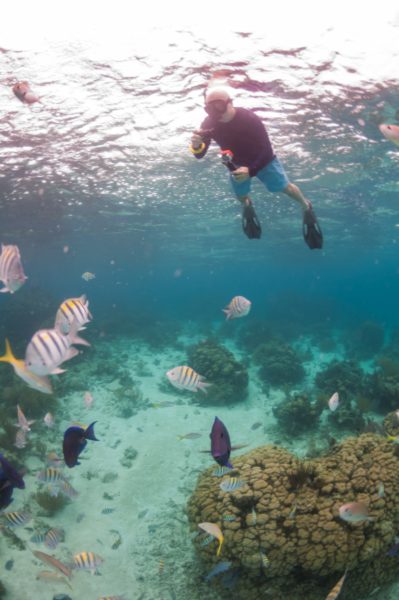 Grand Cayman snorkeling at Rum Point best things to do on grand cayman