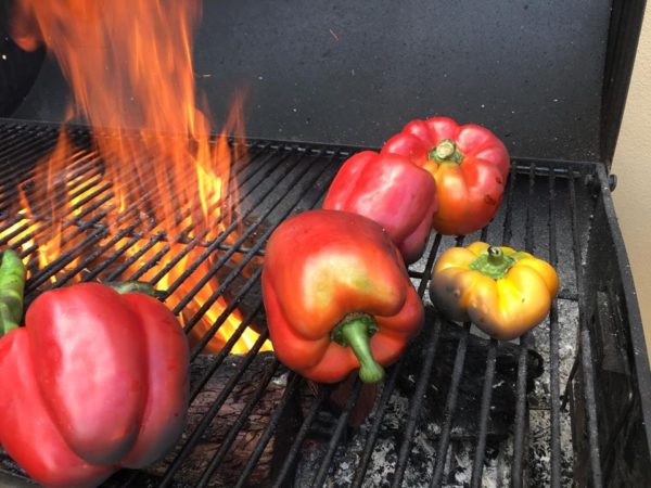 Hyatt Miraval Resort roasted peppers