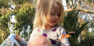 An Oasis in LA at the South Coast Botanic Garden a man holding a child on his shoulders
