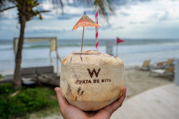 a hand holding a coconut with a straw and umbrella on top