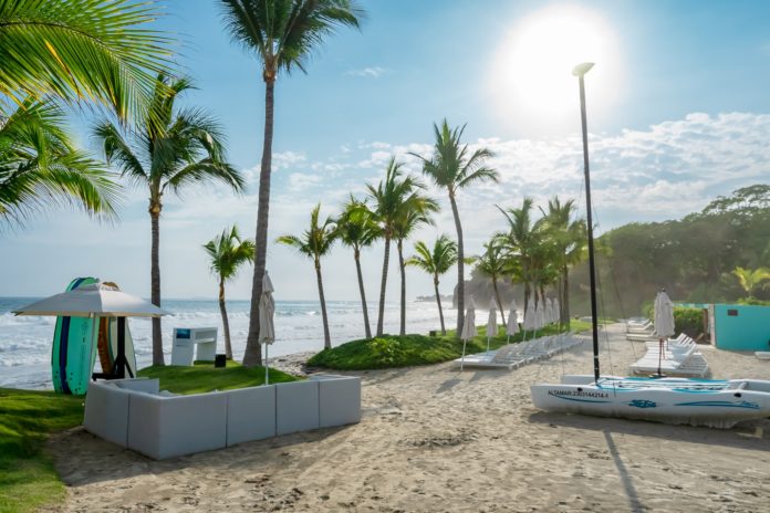 a beach with palm trees and a beach chair