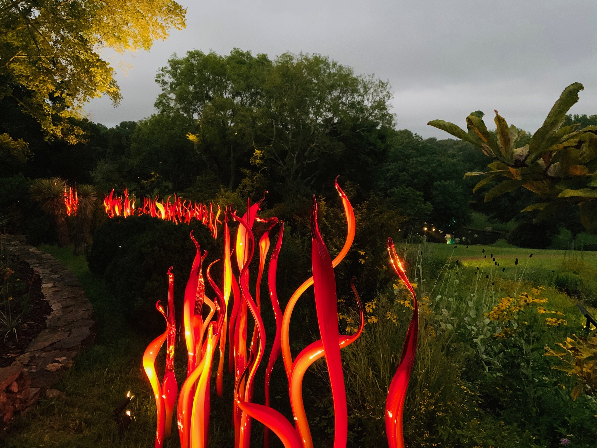 Chihuly Nights 2020 Cattails and Copper Birch Reeds 2015
