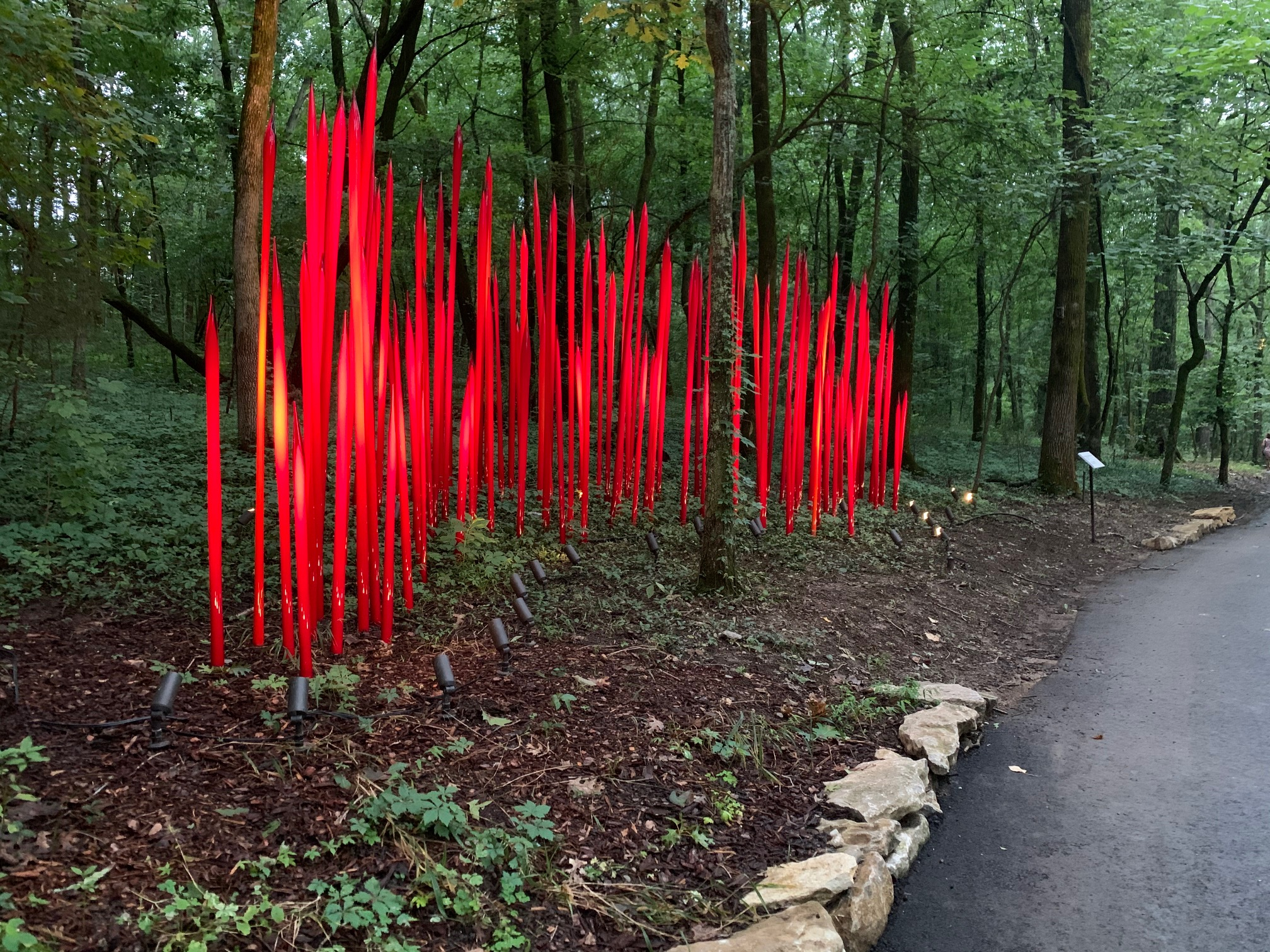 Chihuly Nights 2020 Red Reeds 2014