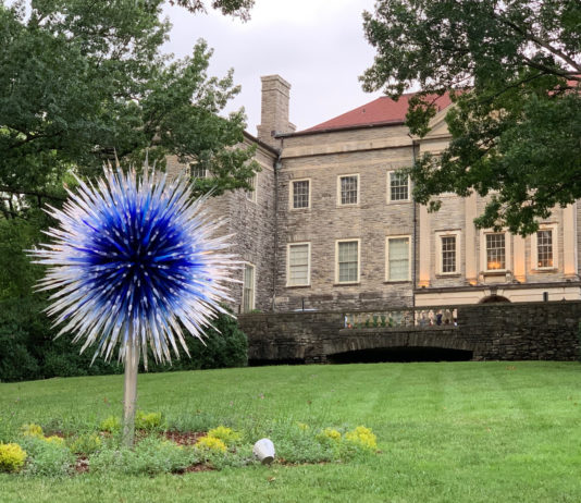 Chihuly Nights 2020 Sapphire Star