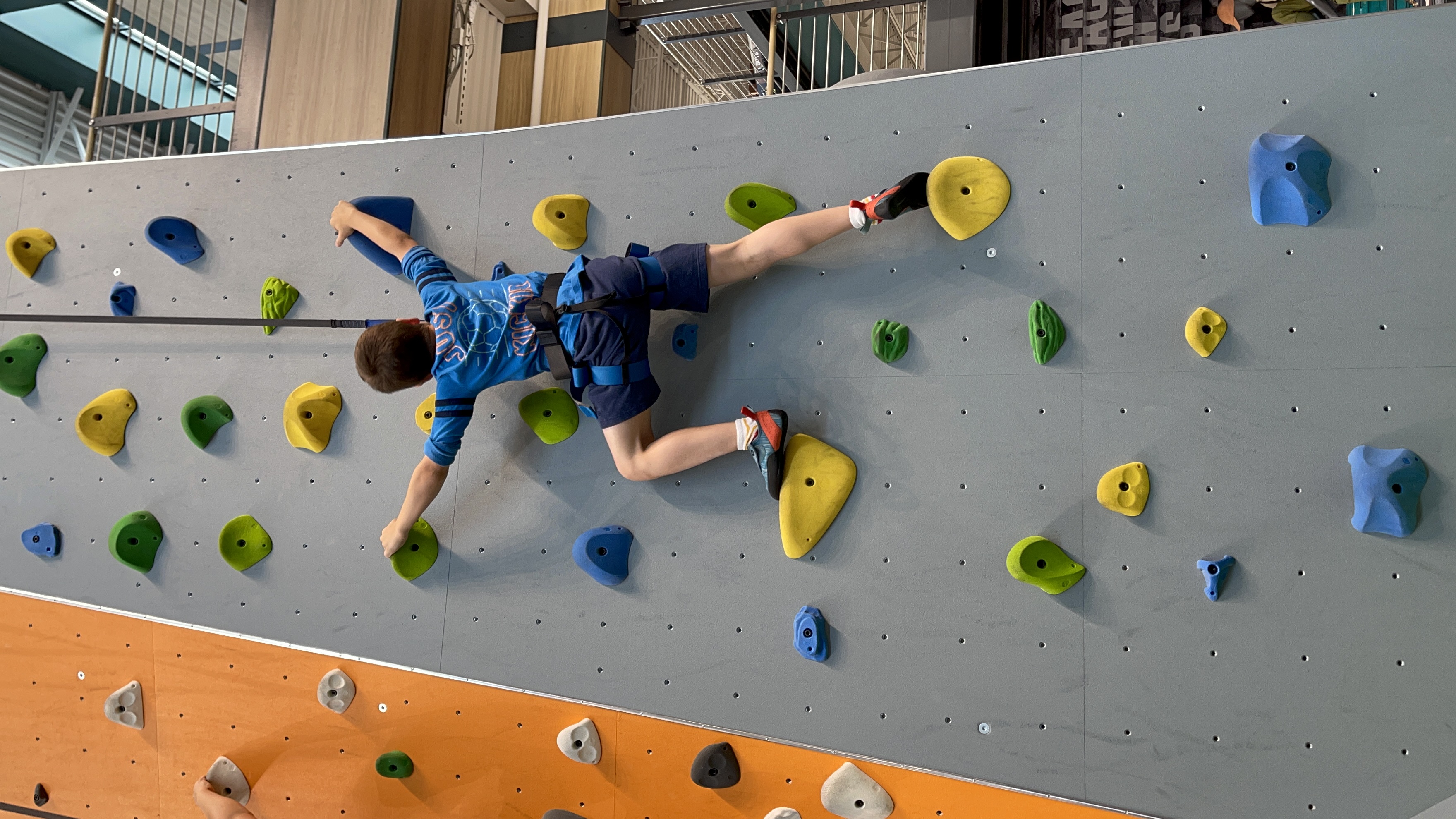 Dick's Sporting Goods Knoxville indoor climbing wall