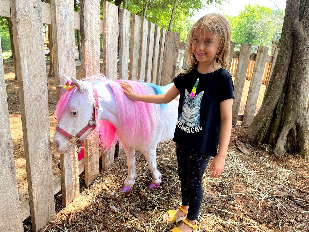 best things to do in Horse Cave Kentucky - Dutch Country Safari Scarlett with rainbow unicorn 2021-07