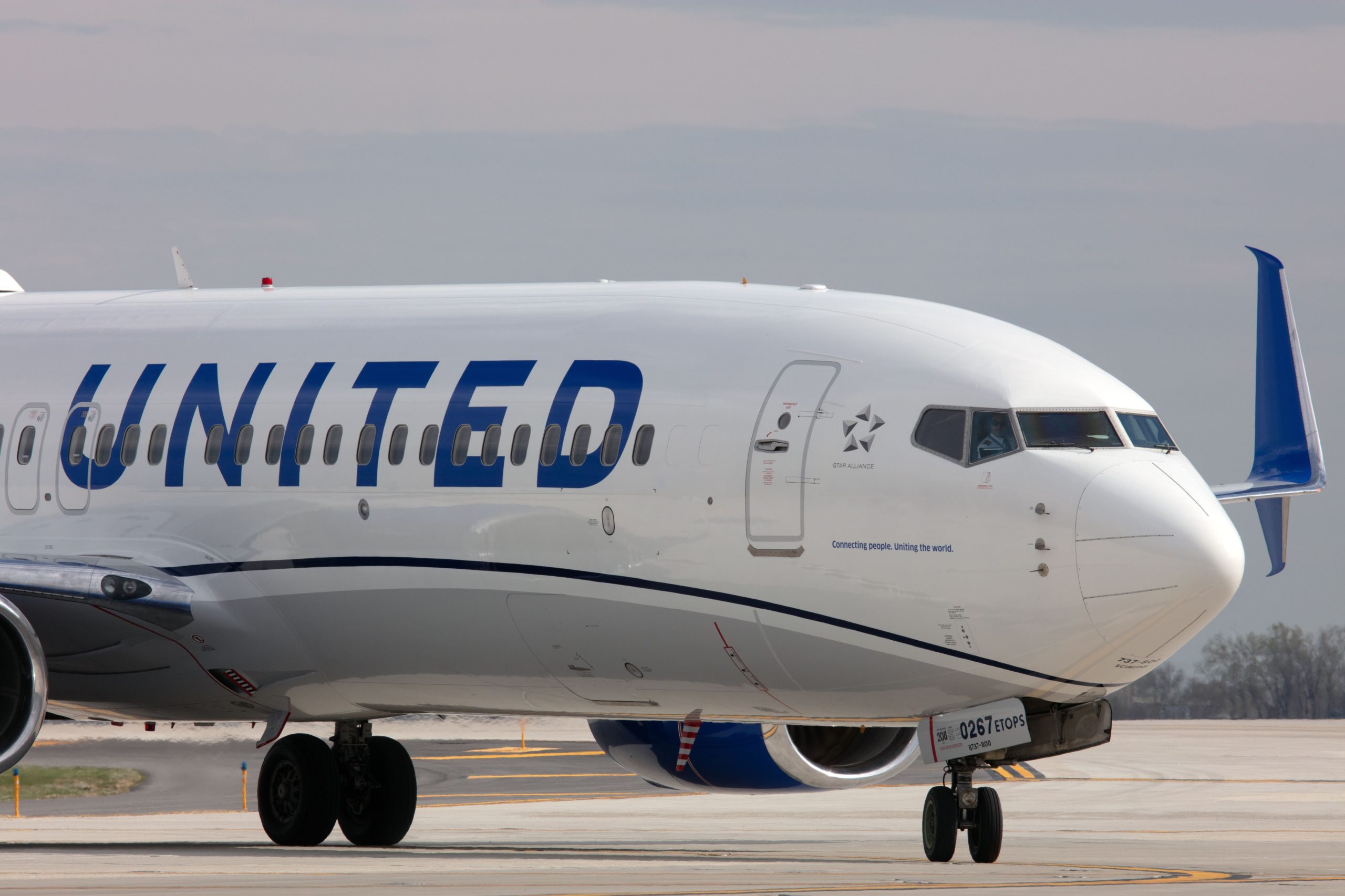 United Airlines 737-8_Livery