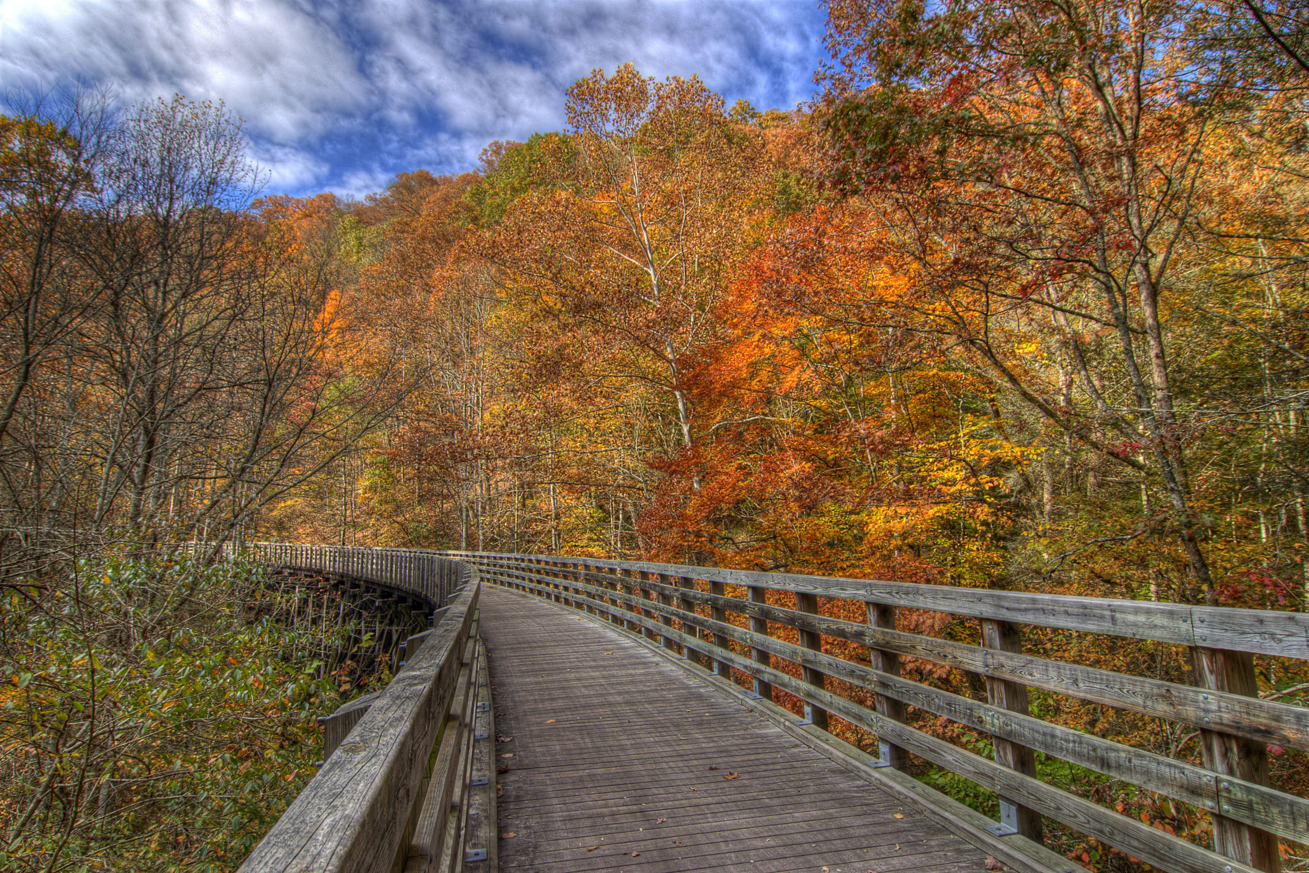 Best things to do in Abingdon, Virginia - The Virginia Creeper Trail