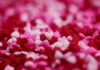 14 Unique Nashville Valentine’s Day Date Night Ideas for 2025 Nashville Valentine's Day date night ideas