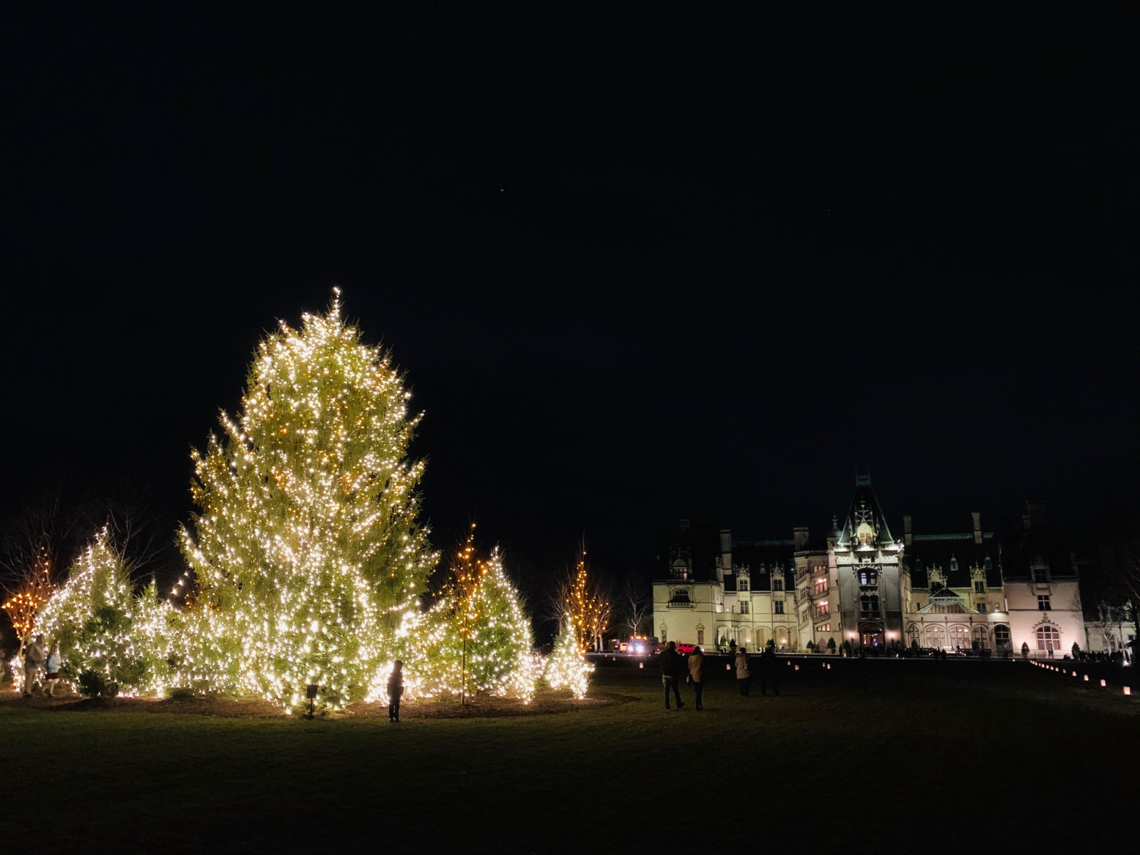 Biltmore Estate manor and Christmas tree
