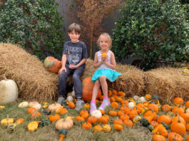 Cheekwood Harvest fun setting for family pics at the Pumpkin Patch 2020-09